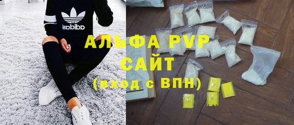 spice Новозыбков