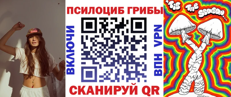 MEGA ONION  Ужур  Псилоцибиновые грибы Psilocybine cubensis 